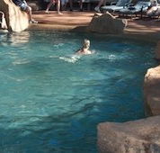 Undara Experience Lava Lodge - Tourism Noosa