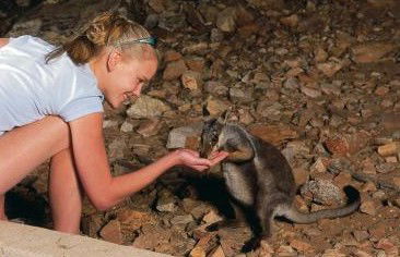 Heaviytrr Gap Outback Lodge - Tourism Noosa 5
