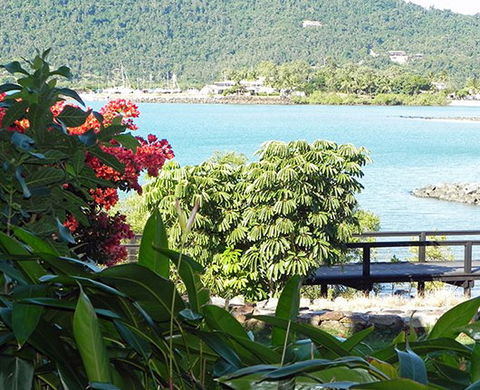 Airlie Waterfront Bed And Breakfast - Tourism Noosa 1