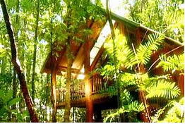 Malanda QLD Tourism Noosa
