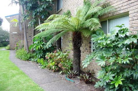 Beachfront Units Merimbula - Tourism Noosa 3