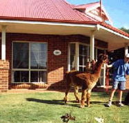 Brilea Cottages - Tourism Noosa