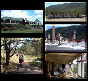 Bestbrook Mountain Resort - Tourism Noosa 1