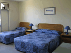 Hamilton Motor Inn - Tourism Noosa 2