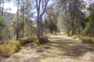 Toms Creek Retreat - Tourism Noosa 1
