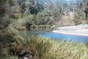 Toms Creek Retreat - Tourism Noosa 4