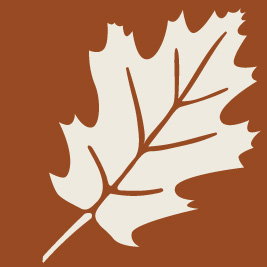 Marysville Garden Cottages - Tourism Noosa 0