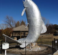 Snow Goose Hotel Motel - Tourism Noosa