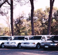Hollywood VIP Limousines - Tourism Noosa