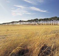Port Wakefield Motel - Tourism Noosa
