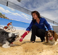Hanrob Pet Hotels - Tourism Noosa