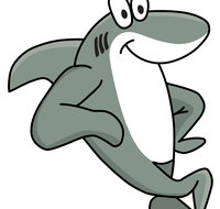 Sharky Beach Bed and Breakfast - Tourism Noosa