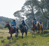 Pender Lea - Tourism Noosa