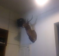 Union Hotel - Tourism Noosa