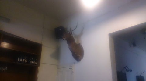 Union Hotel - Tourism Noosa 0