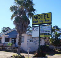 Blackboy Tree Motel - Tourism Noosa