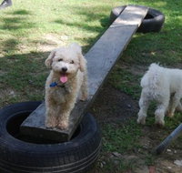 Beenleigh Pet Motel - Tourism Noosa