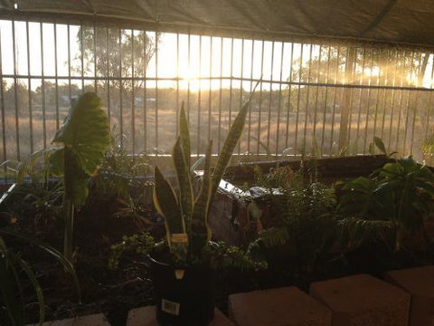 Cityside Accommodation | Mt Isa - Tourism Noosa 5