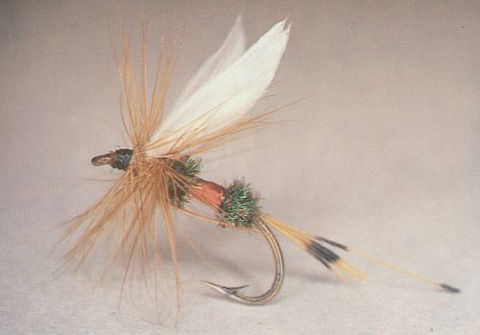 Boutique Motel Sefton House - Tourism Noosa 6