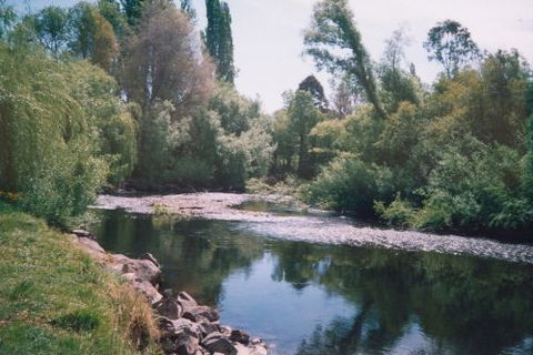 Boutique Motel Sefton House - Tourism Noosa 7