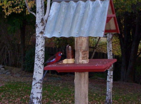 Colonial Motel Omeo - Tourism Noosa 3