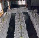 Echidna Gully Paintball and Lazerblits - Tourism Noosa