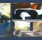 The Albany - Tourism Noosa