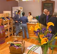 Settlers Ridge Organic Wines - Tourism Noosa