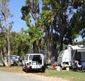 Elliston Caravan Park - Tourism Noosa