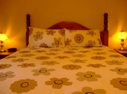 Travelway Motel - Tourism Noosa