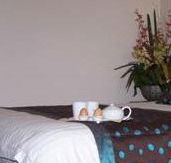 Best Western Ambassador Motor Inn - Tourism Noosa