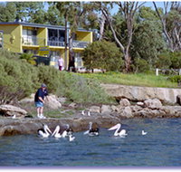 Almonta Holiday Apartments - Tourism Noosa