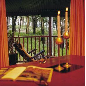 Eaglereach Wilderness Resort - Tourism Noosa 0