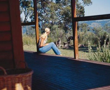 Eaglereach Wilderness Resort - Tourism Noosa 2