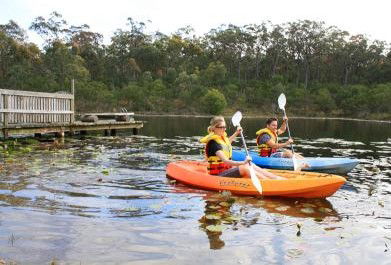 Eaglereach Wilderness Resort - Tourism Noosa 3
