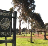 Harmony Forest - Tourism Noosa