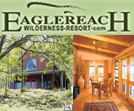 Eaglereach Wilderness Resort - Tourism Noosa 5