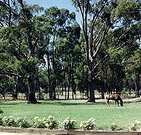 Saratoga Lodge - Tourism Noosa