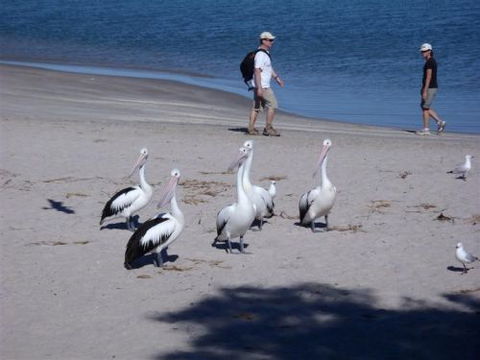 Kalbarri Accommodation Service - Tourism Noosa 5