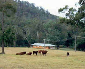 Shute Hill Country Retreat - Tourism Noosa 0