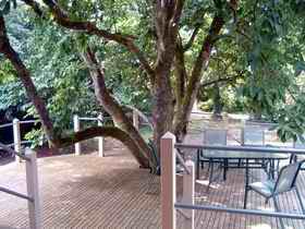 Magnolia House Marysville - Tourism Noosa 0