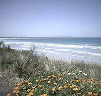 Moyne Cottage - Tourism Noosa