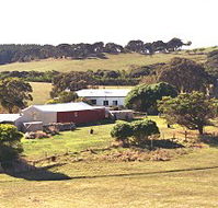 Sun Valley Eco Farm - Tourism Noosa