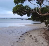 Stanley Lakeside Spa Cabins - Tourism Noosa