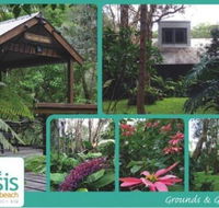 The Oasis at One Mile Beach - Tourism Noosa