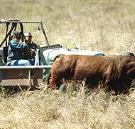 Bullo River Station - Tourism Noosa