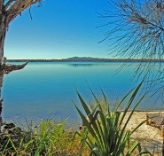 Eumarella Shores - Tourism Noosa
