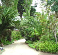 Seacove On The Beach - Tourism Noosa