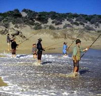 Flippers Beachouse - Tourism Noosa