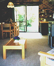 Falls Forest Retreat - Tourism Noosa 0
